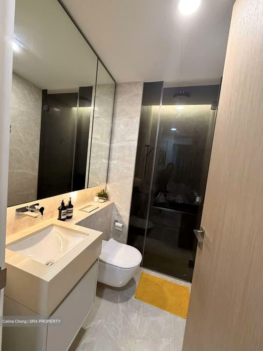 Amber Park (D15), Condominium #561011581